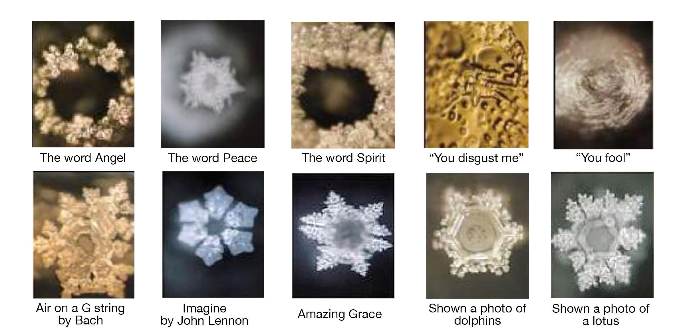 Cristalli acqua Masaru Emoto